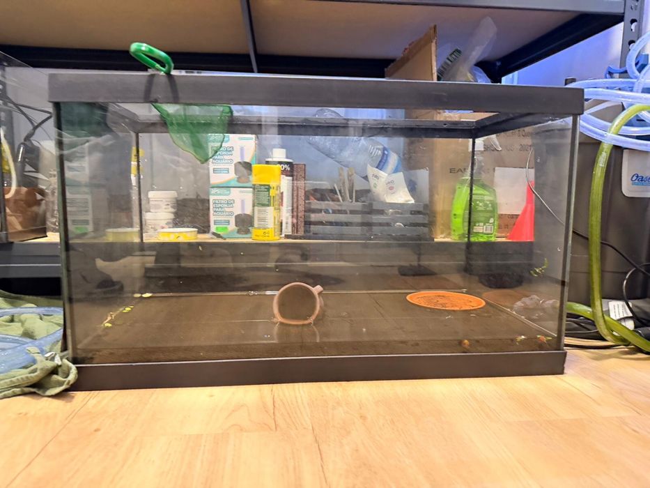 Aquario 60cm