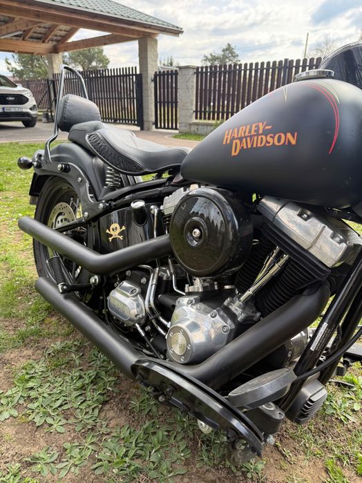 Harley Davidson Cross Bones