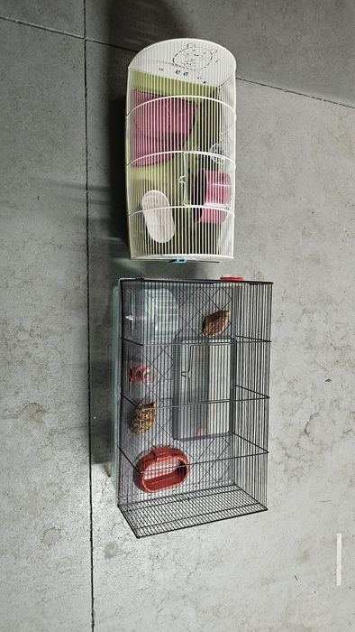Gaiola para roedores