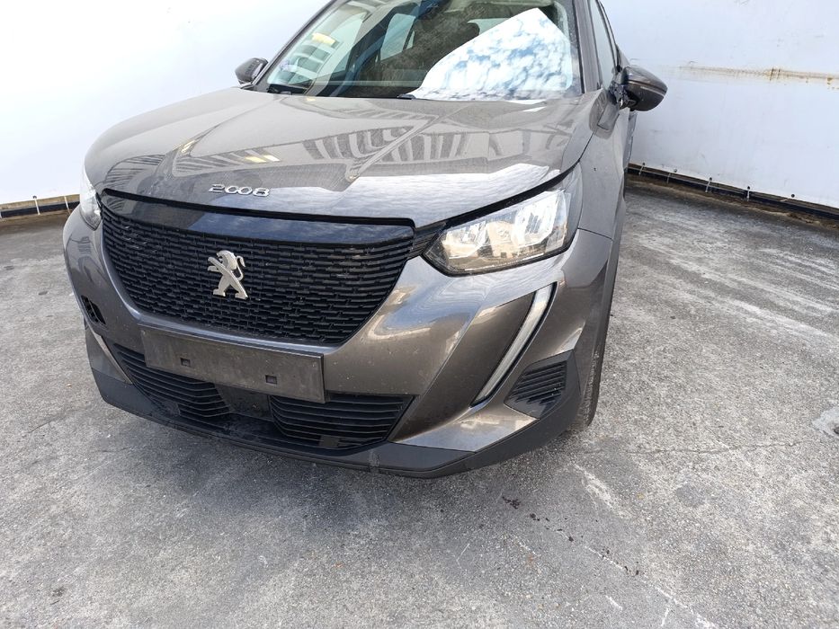 Frente completa PEUGEOT 2008 II (U_)