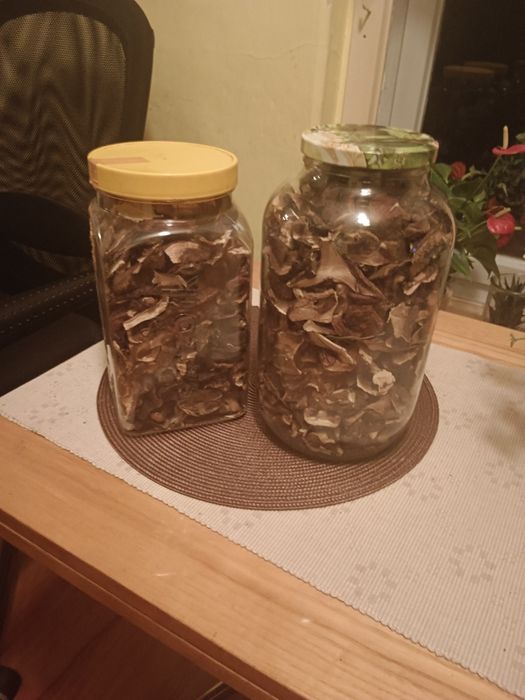 Grzyby suszone i marynowane