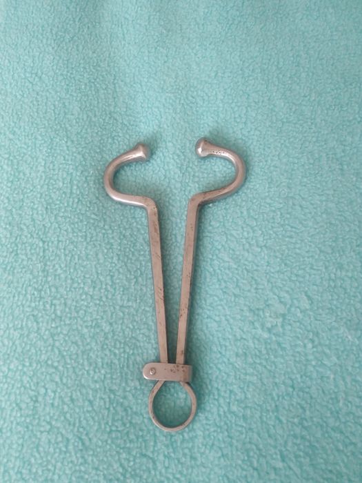 Kleszcze nosowe dla bydła