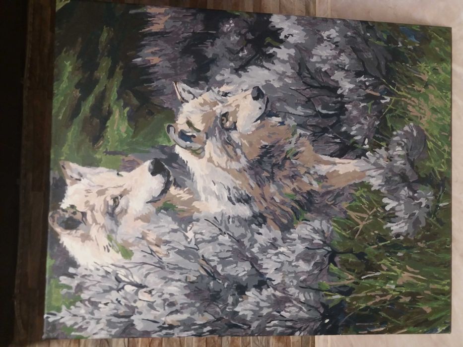 Картины по номерам готовые 50×40