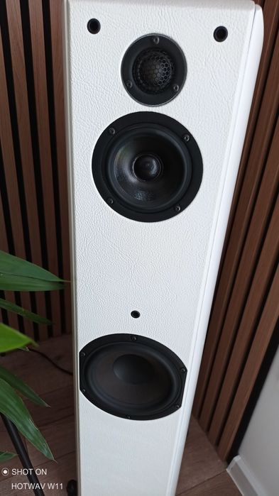 Roksan Oxygene Sonus Faber Toy Tower