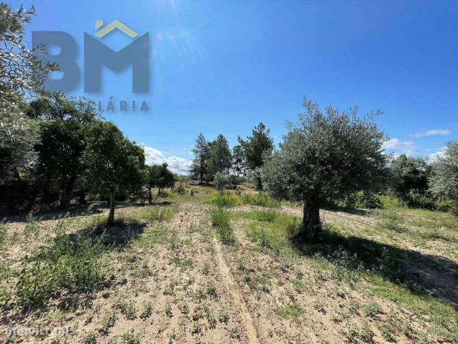 Terreno de 4000m² à Venda em Freixial do Campo