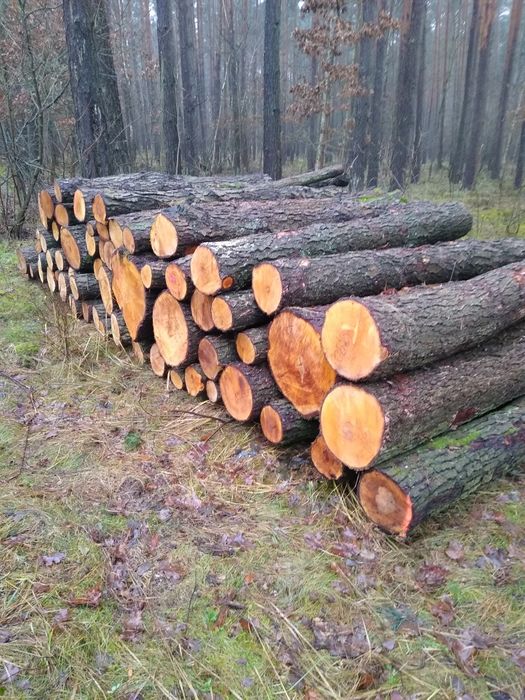 Opał, stemple, paliki, słupki, drewno
