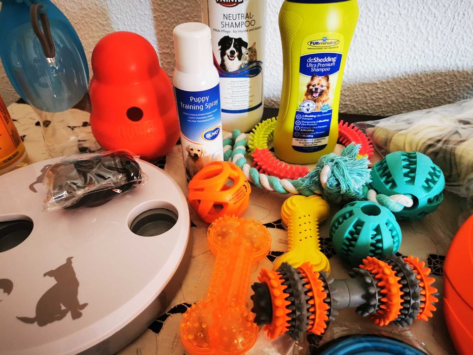 Kit de acessórios para Cão - 21 Produtos