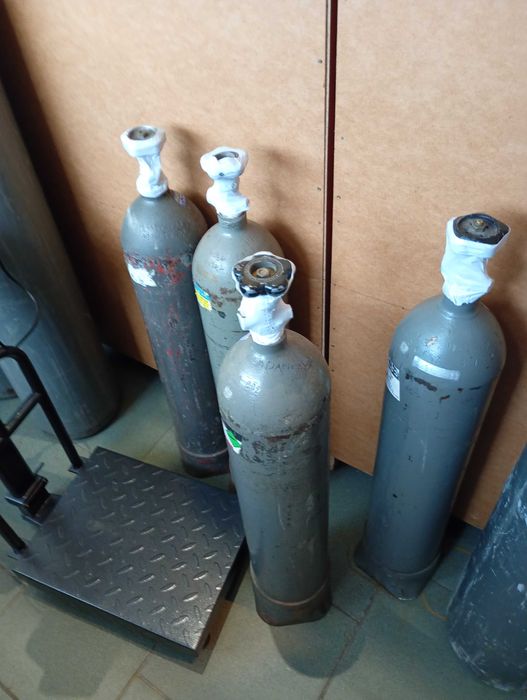 Zestaw balonów z królikiem Bing