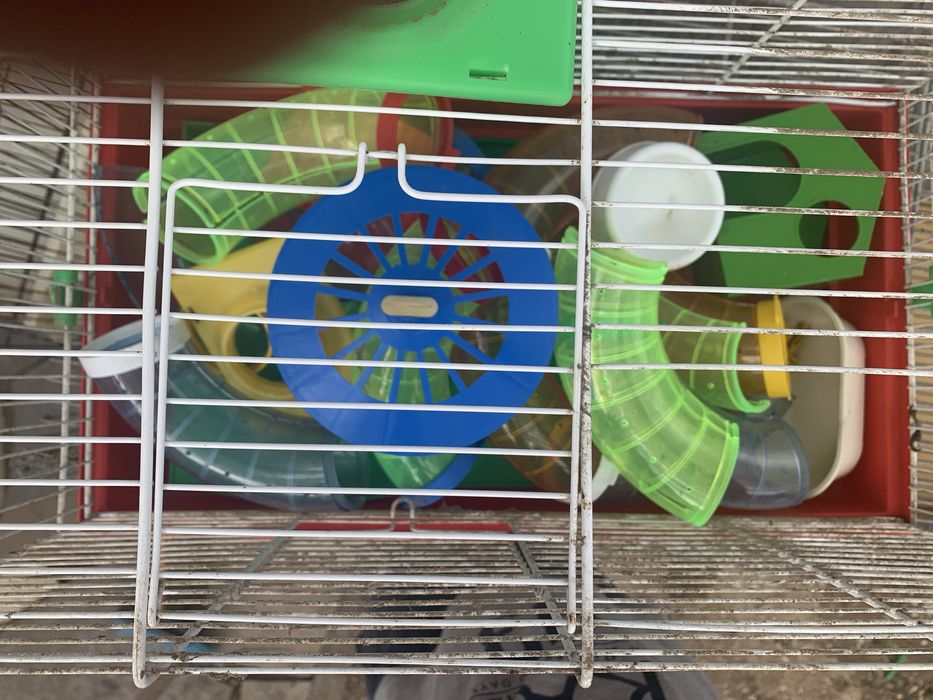 Gaiola para amster como nova