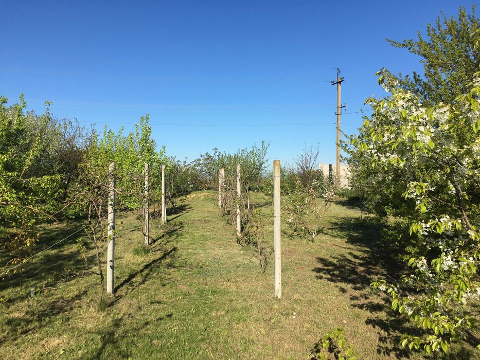 Продаж ділянки - Санжійка.