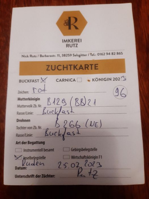 Бакфаст не плідні