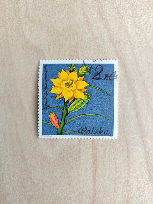 Znaczki polskie 1981: Kwiaty sukulentów – kaktusy, PRL, vintage