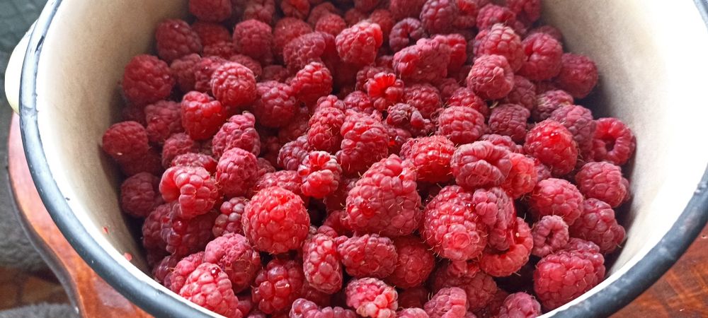 Сушеная  Клубника  ,Сушена Полуниця ,Малина ,Чипсы Клубники ,Ягоды