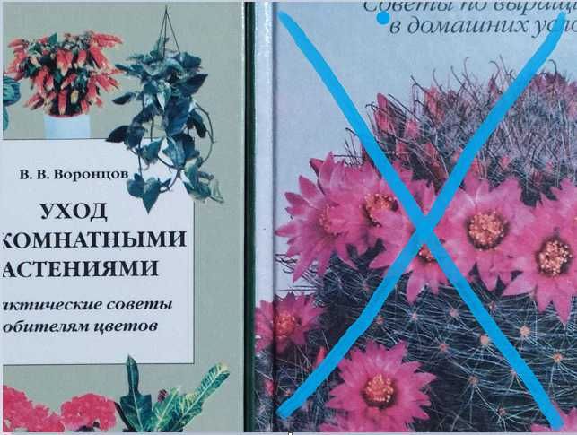 В.В. Воронцов. Уход за комнатными растениями