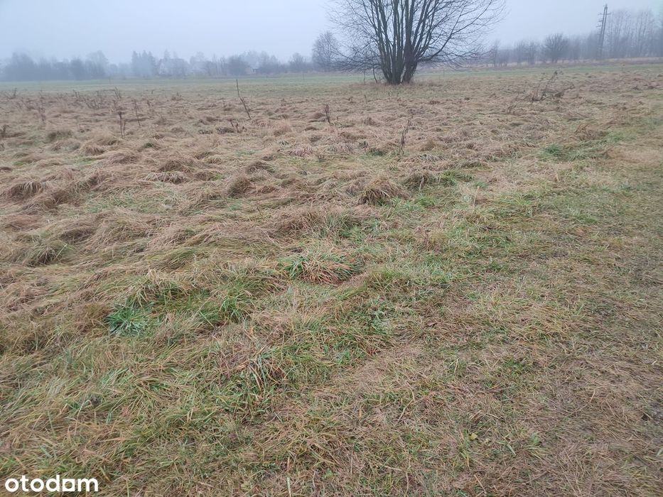 Okazja inwestycyjna - Działka przeznaczona pod zabudowę mieszkaniową - Widok 4