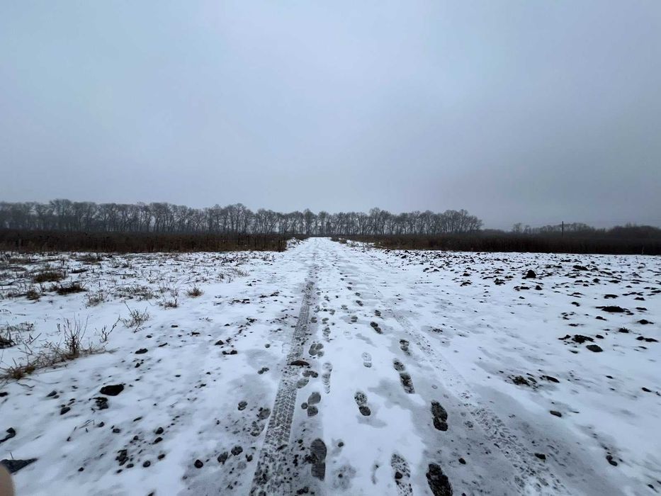 Продаж земельної ділянки під жит. забудову, Тяжилів, Костел, 6,3 сот.