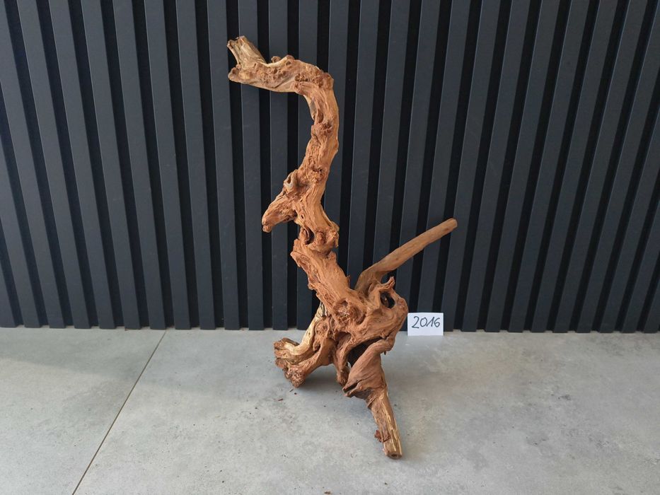 korzeń Bell Wood masywny 2016 do akwarium terrarium 64x40x20 NOWOŚĆ