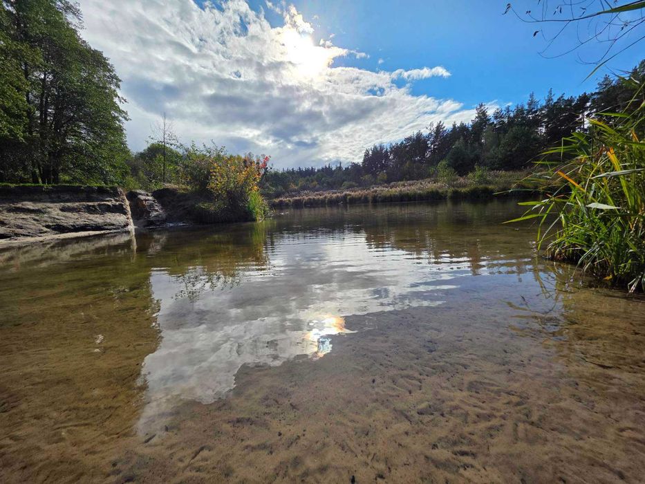 Продаж ділянки 7 соток з соснами поряд озеро Тарасівка