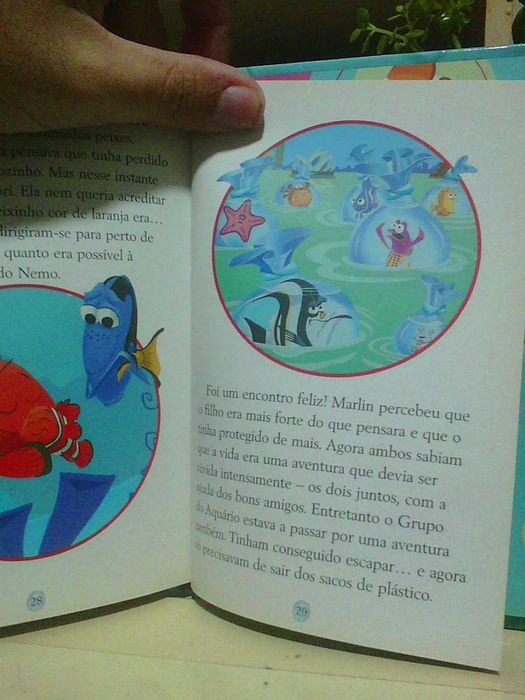 À Procura de Nemo disney livro