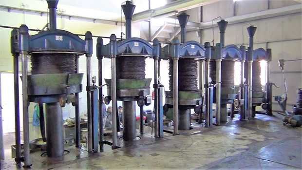 Vendo azeite de 2024 e 2025