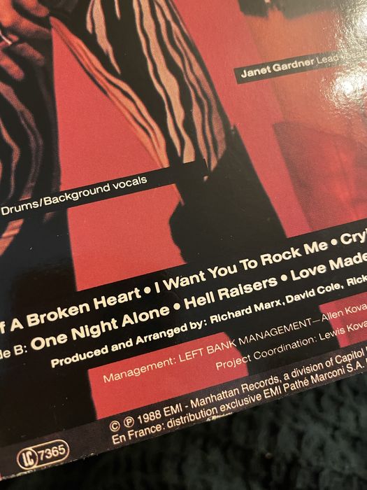 Vixen Vixen 1988 Płyta winylowa LP