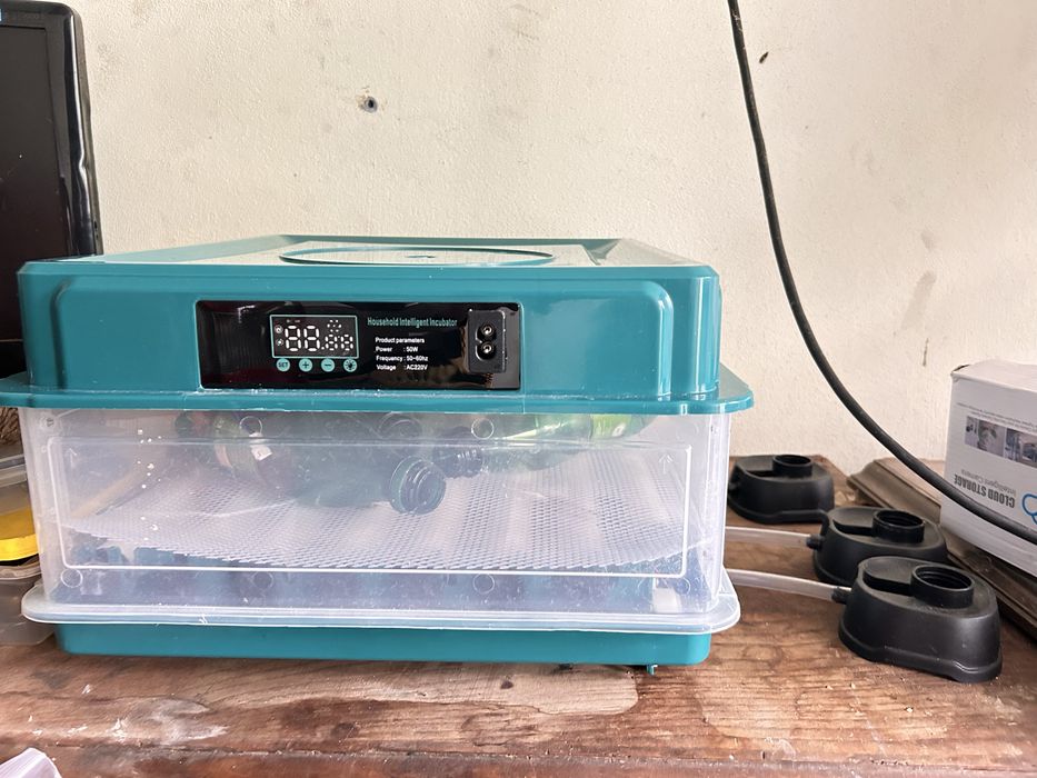 Chocadeira para qualquer tipo de aves