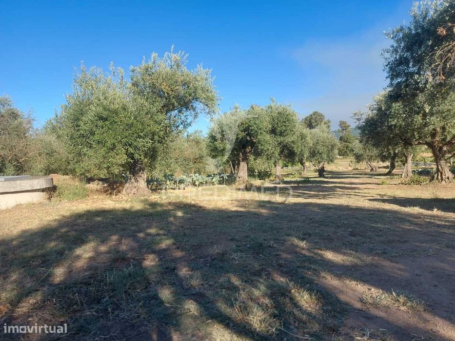 Quintinha com 5000 m2 para venda