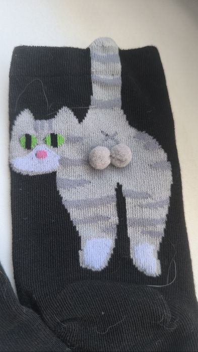 Шкарпетки коти з яйцями