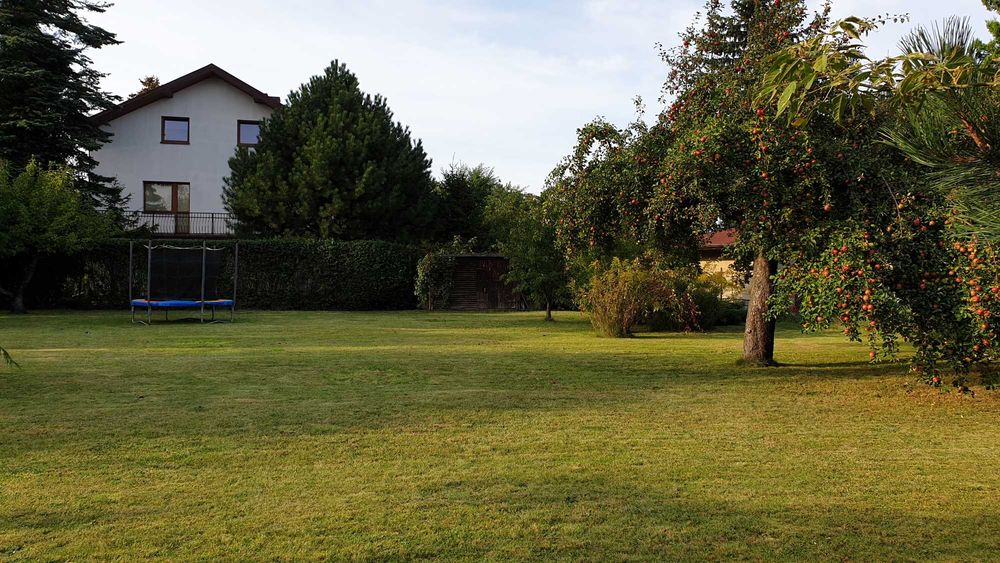 Działka w Kole - Koło - Widok 4