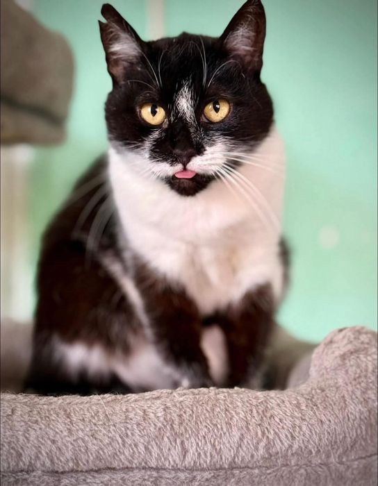 Czy ktoś mnie pokocha?