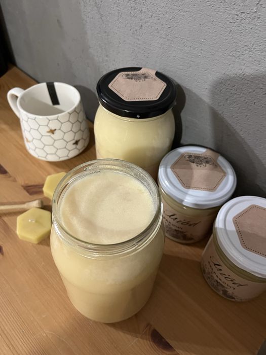 Miód rzepakowy - słoik 450g - zbiór 2025