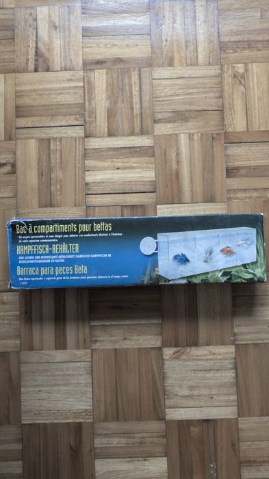Separadores Betta para aquário