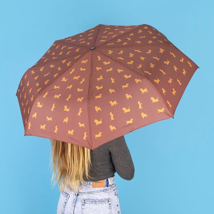 Parasol z pokrowcem brązowy prezent dla psiarzy