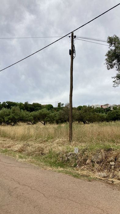 Terreno Rustico em São Brás Alportel