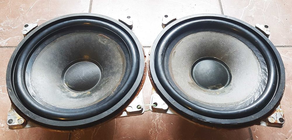 НЧ-динамики 10ГД-30 пара