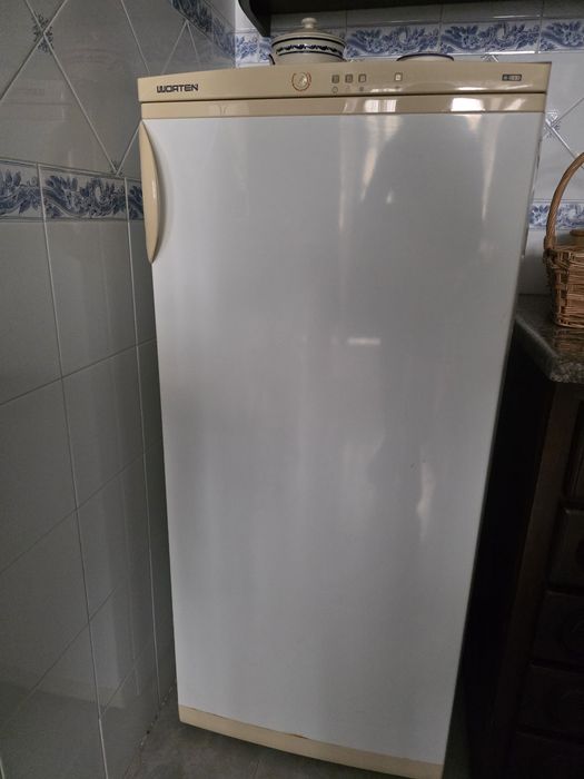 Arca Congeladora vertical