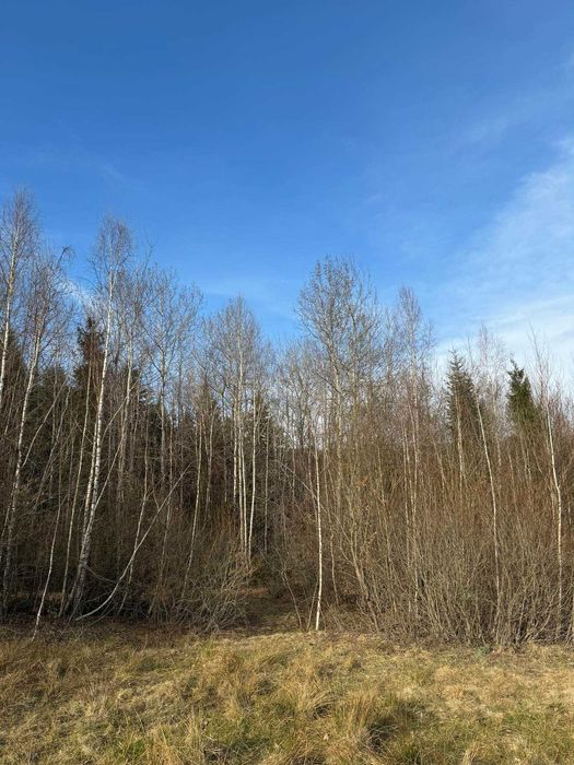 Продаж земельної ділянки, Косів, вул.Павлика. БЕЗ КОМІСІЇ (біля лісу)