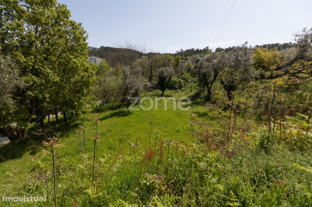 Plot of Land Measuring 1100 m² in Arganil