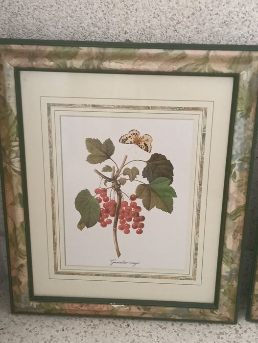 Beautiful decorative frames64740754080130123