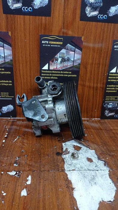 Bomba de Direção PSA

REF: 7 6 9 1 9 5 5 1 9 6
