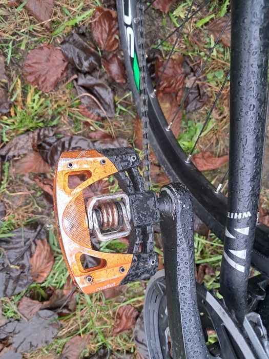 Rower White, hybryda.