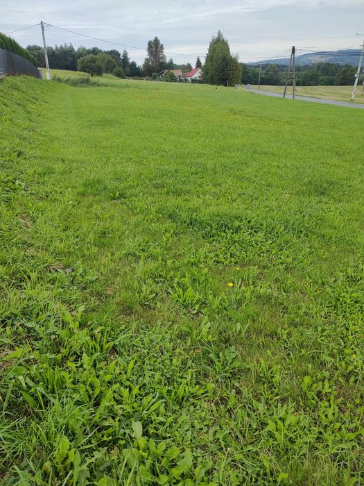 Atrakcyjna, widokowa działka budowlana - Tuchów, Jana III Sobieskiego - możliwość podziału - Widok 4