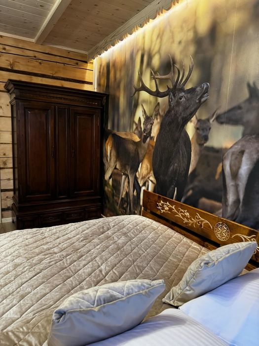 Wynajem apartamentów  Zakopane ul.Bachledy 20 tel.6 6 8 9 6 0 1 9 9