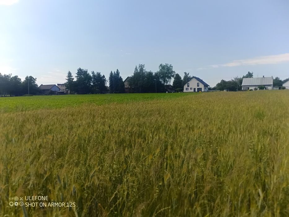 Ustronna 5 000 m², Marklowice Górne - Widok 3