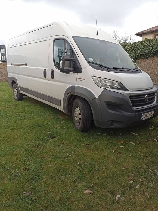 Transport Autolewta/Bus