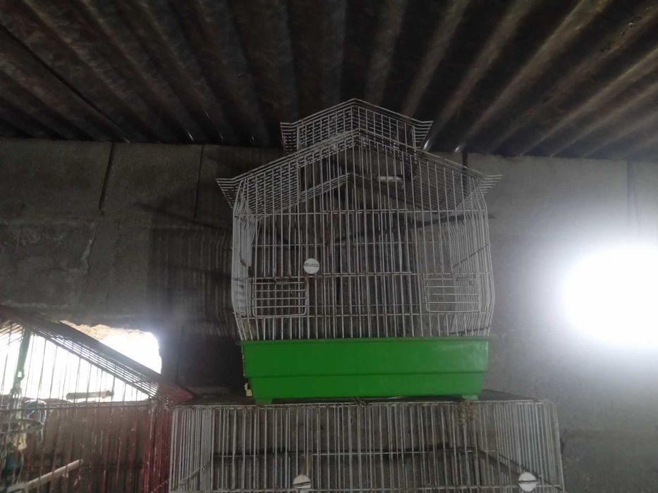 Gaiolas para pássaros