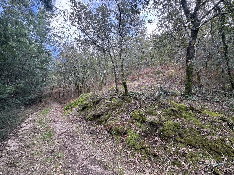 Terreno em Louredo, Vieira do Minho
