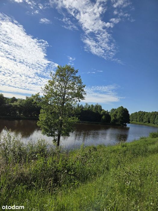 Dom – Nadziejów, powiat konecki - Widok 2