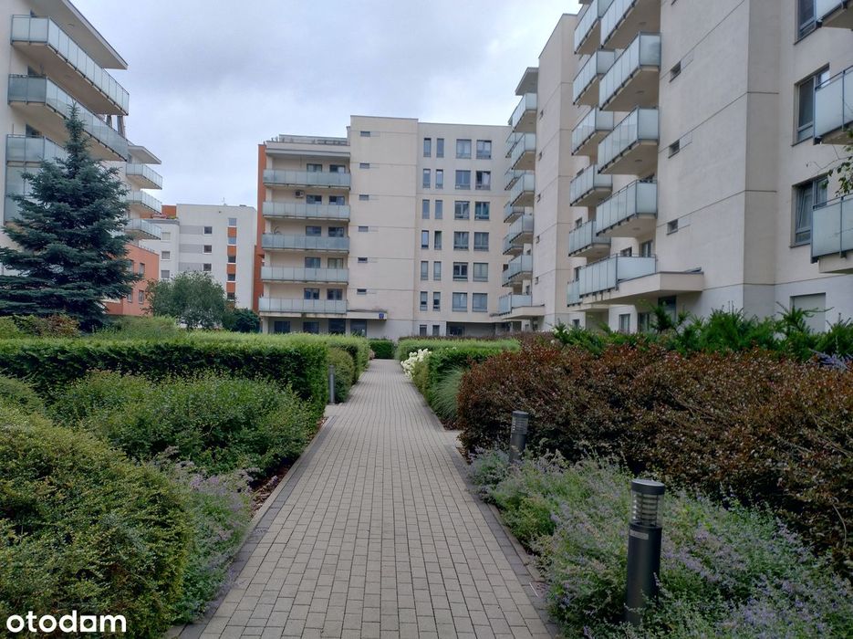 Dwustronne i praktyczne 75m2 - bezpośrednio