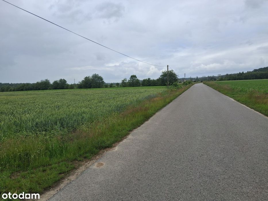 Do sprzedania w tej cenie trzy działki -Sworzyce